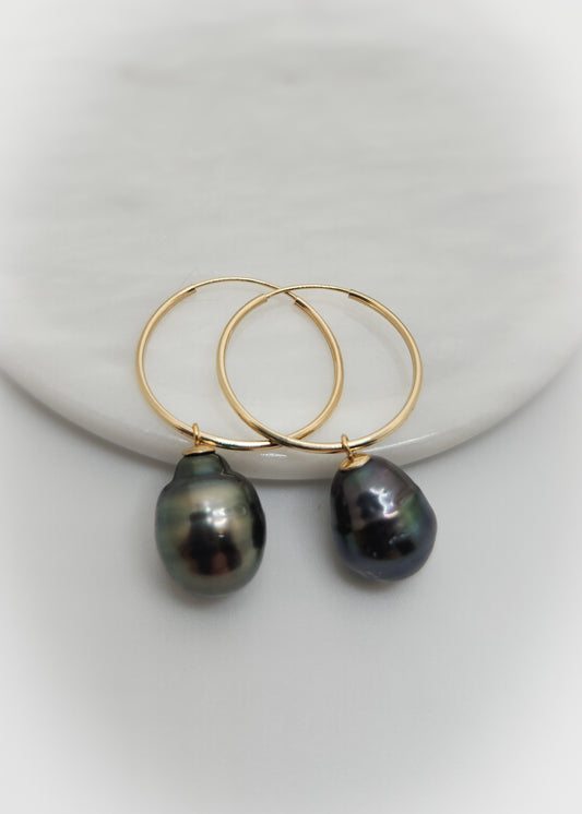 Black Tahitian Pearl Hoops