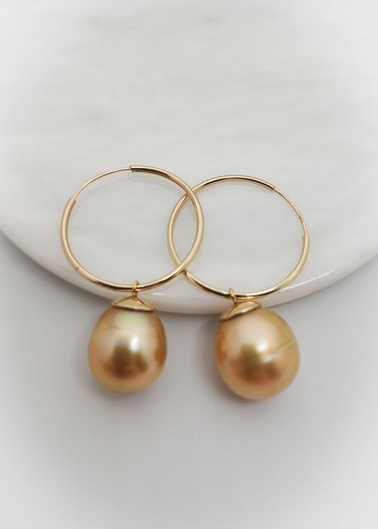 Yellow South Sea Pearl Hoops